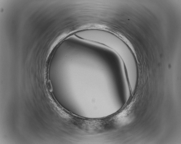 X0000087640997200705181521