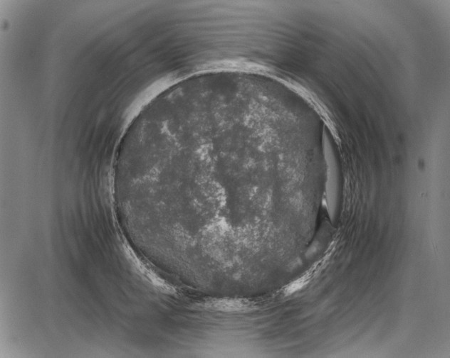 X0000087640998200705181521