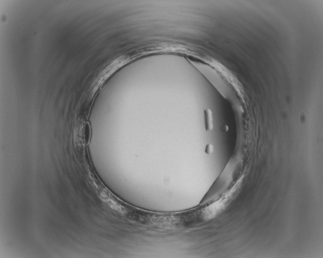 X0000087641001200705181521