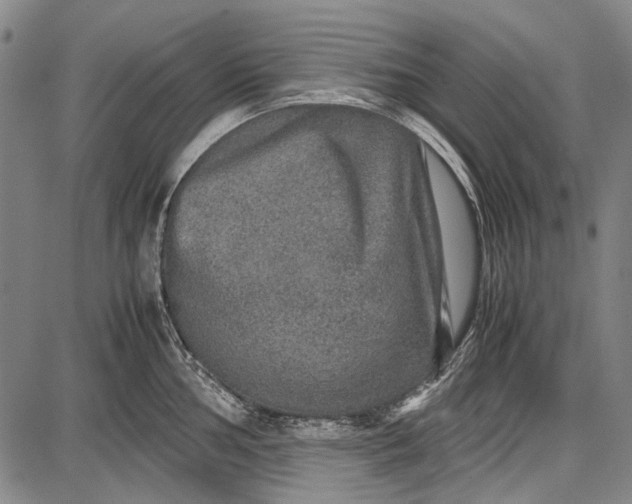 X0000087641002200705181521