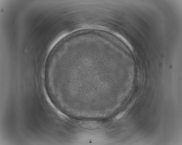 X0000087641007200705181521