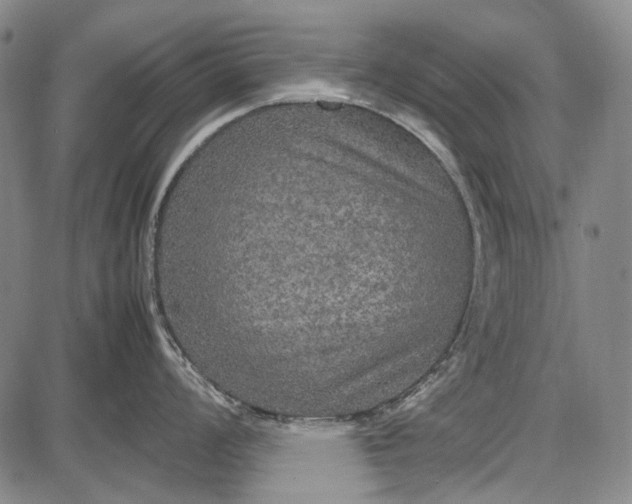 X0000087641008200705181521