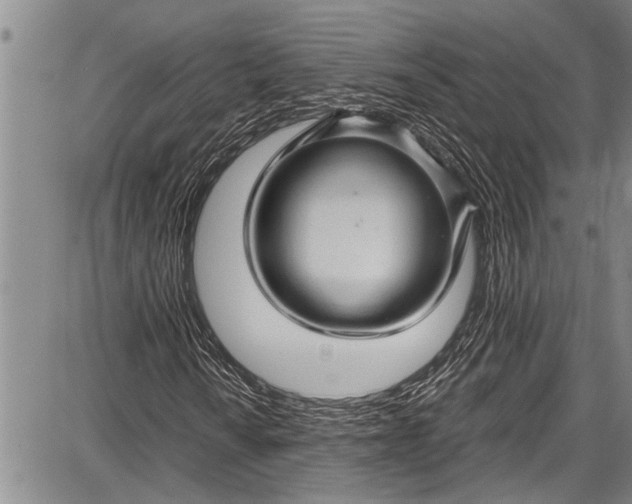 X0000087641010200705181520