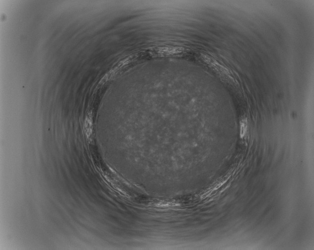 X0000087641011200705181520