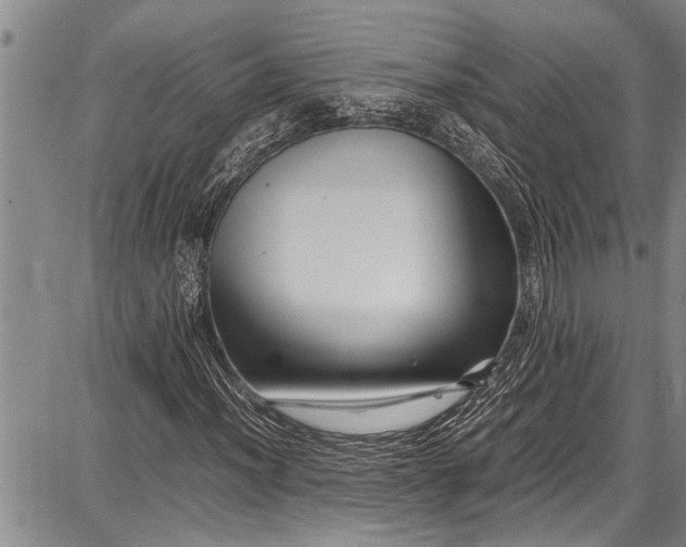 X0000087641012200705181520