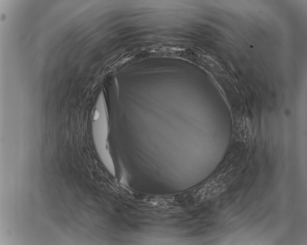 X0000087641013200705181520