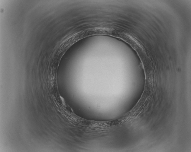 X0000087641015200705181520