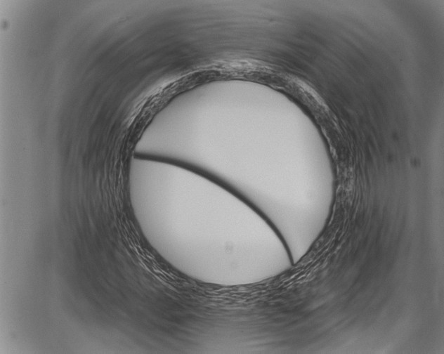 X0000087641016200705181520