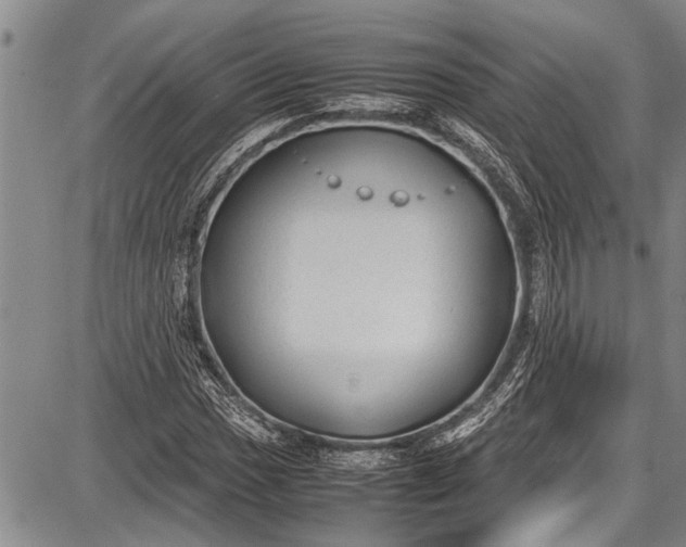 X0000087641017200705181520