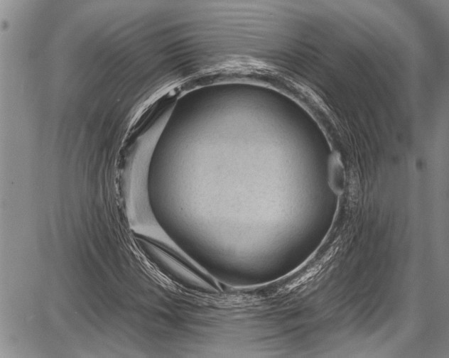 X0000087641018200705181520