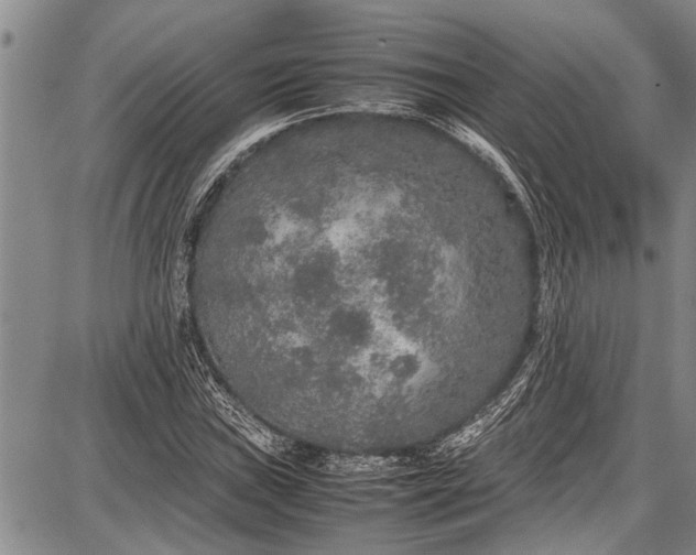 X0000087641019200705181520