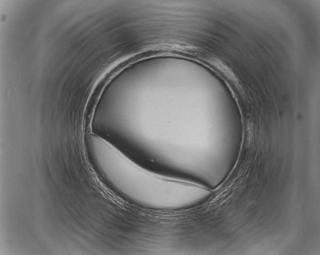 X0000087641020200705181520