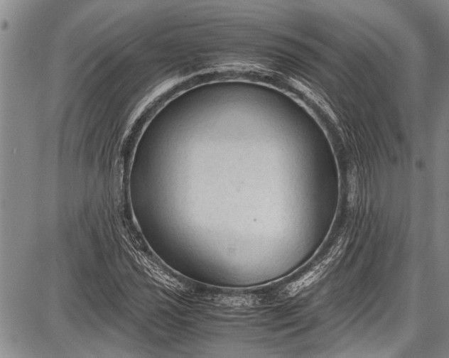 X0000087641021200705181520