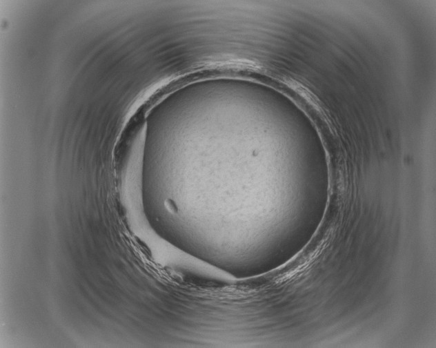 X0000087641022200705181520