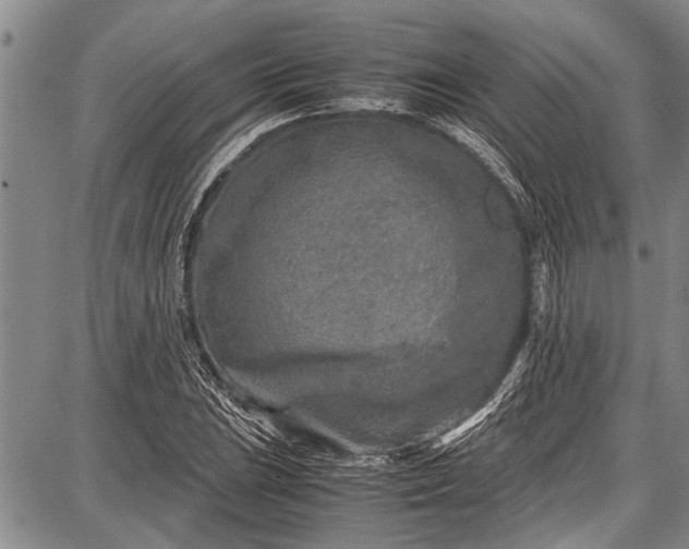 X0000087641023200705181520