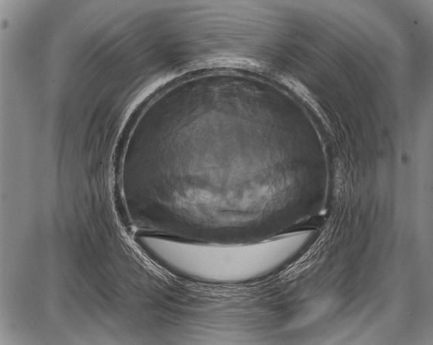 X0000087641024200705181520