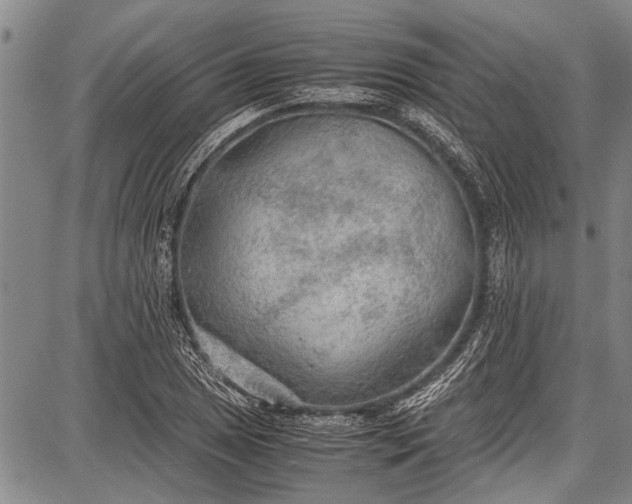 X0000087641025200705181520