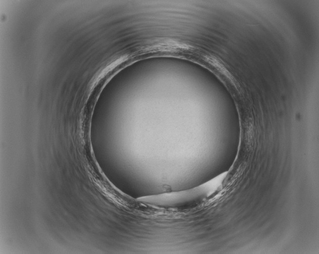 X0000087641026200705181520