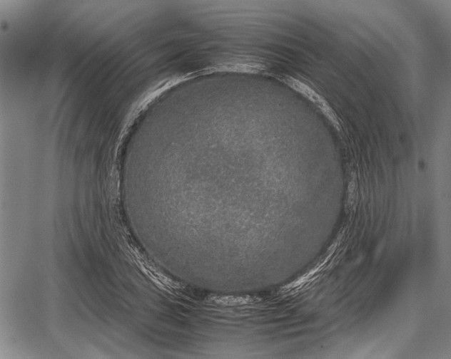 X0000087641027200705181520