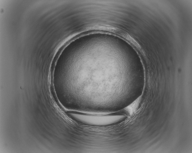 X0000087641028200705181520