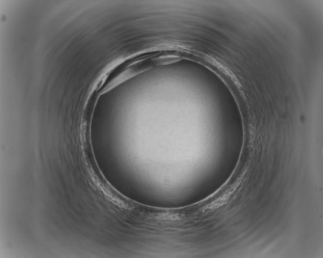 X0000087641029200705181520