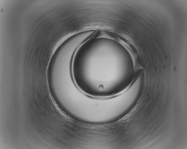 X0000087641030200705181520