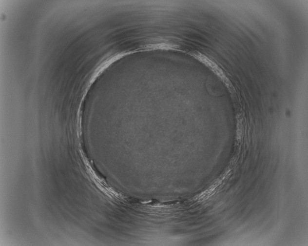 X0000087641031200705181520