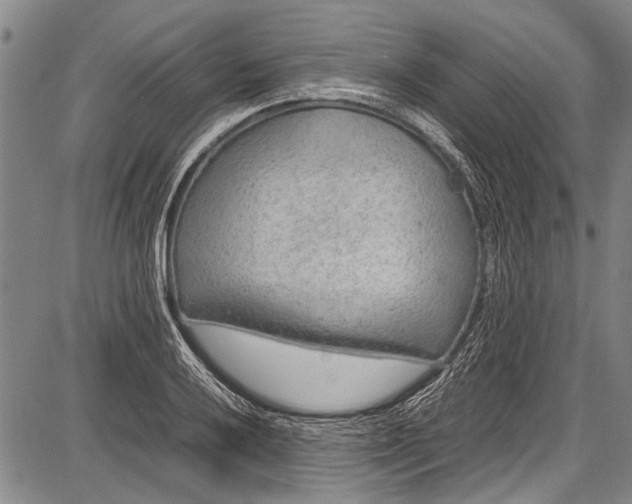 X0000087641032200705181520