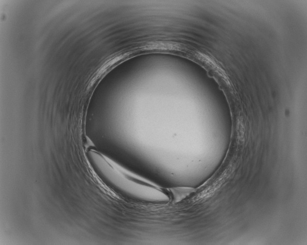 X0000087641033200705181520