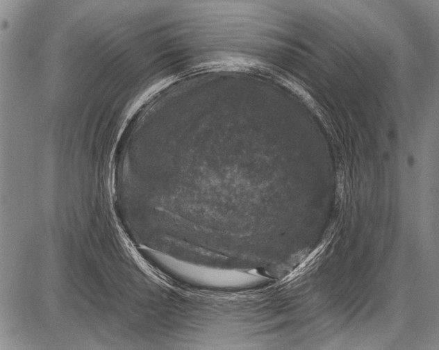 X0000087641034200705181520