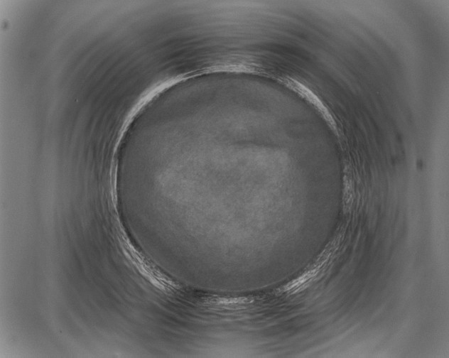 X0000087641035200705181520