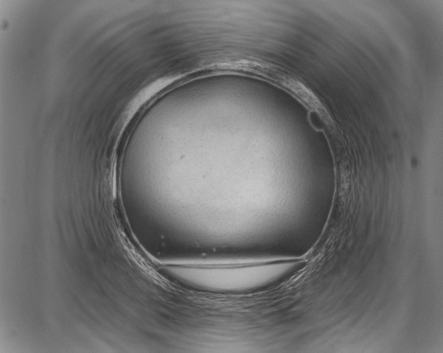 X0000087641036200705181520