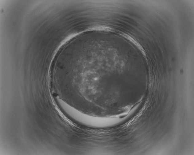 X0000087641037200705181520