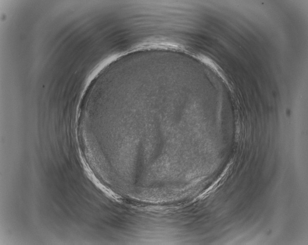 X0000087641038200705181520