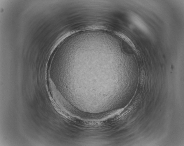 X0000087641039200705181520