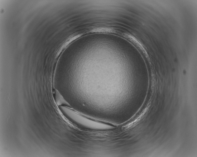 X0000087641041200705181520