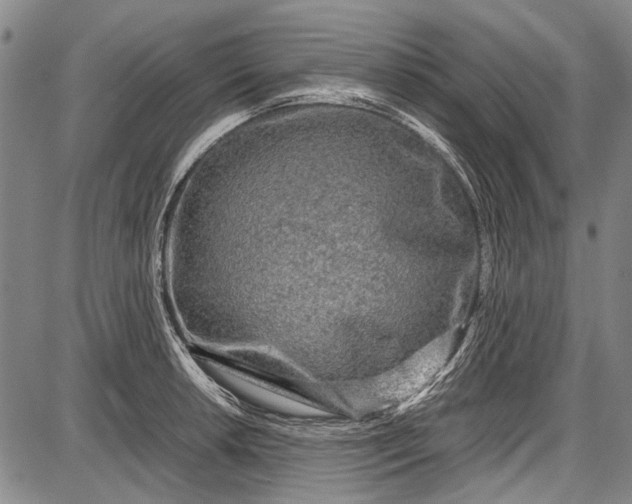 X0000087641042200705181520