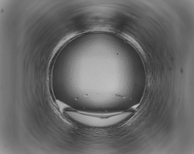 X0000087641043200705181520