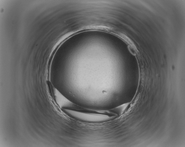 X0000087641044200705181520