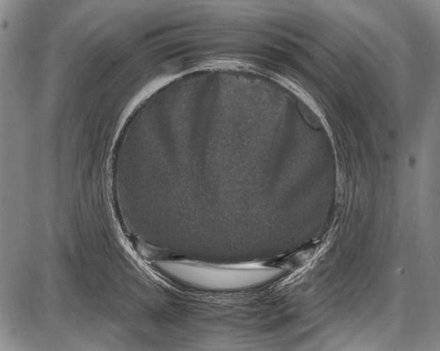 X0000087641045200705181520