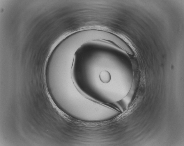 X0000087641046200705181520