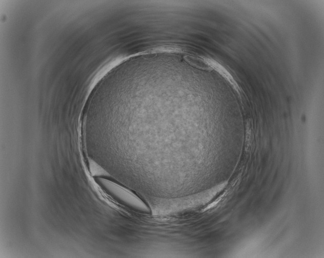 X0000087641047200705181520