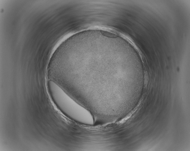 X0000087641048200705181520