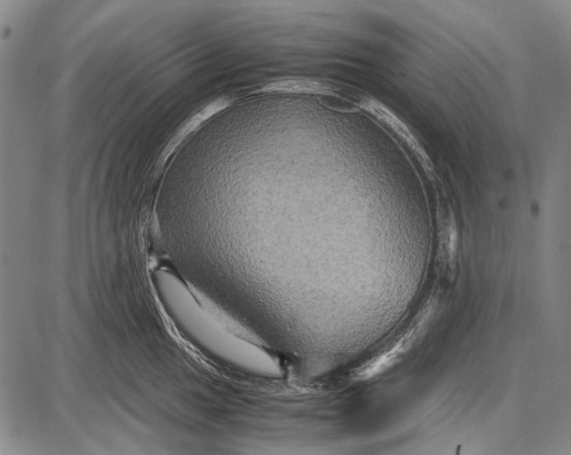 X0000087641049200705181520