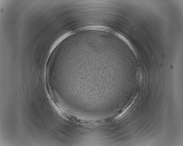 X0000087641050200705181520