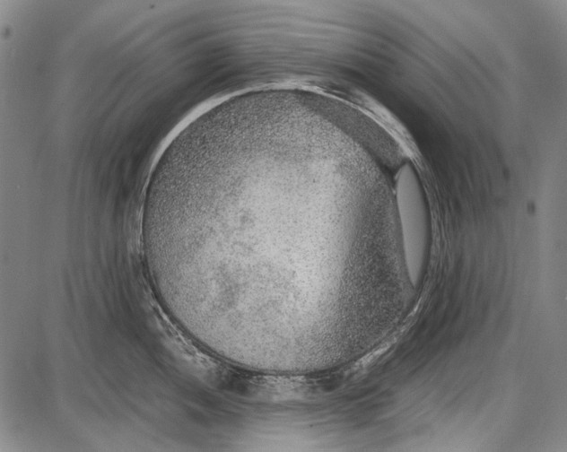 X0000087641052200705181520