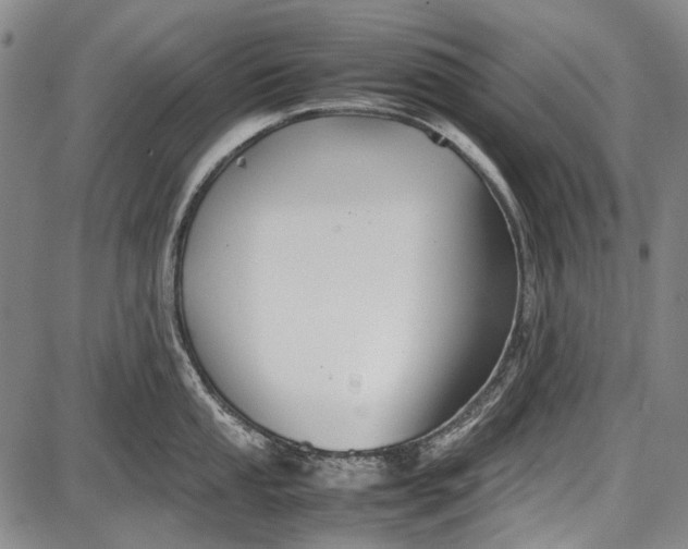 X0000087641053200705181521