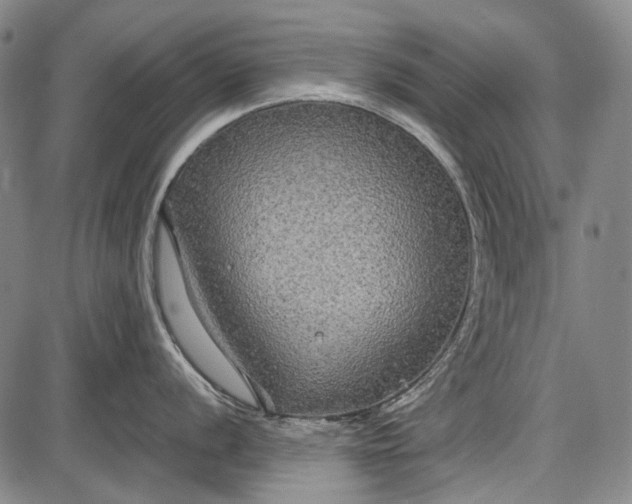 X0000087641056200705181521