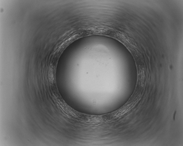 X0000087641058200705181520