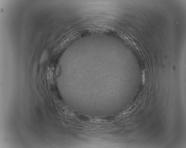 X0000087641059200705181520